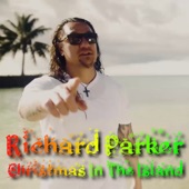 Christmas in the Island artwork