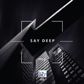 Say Deep, Vol. 2 artwork