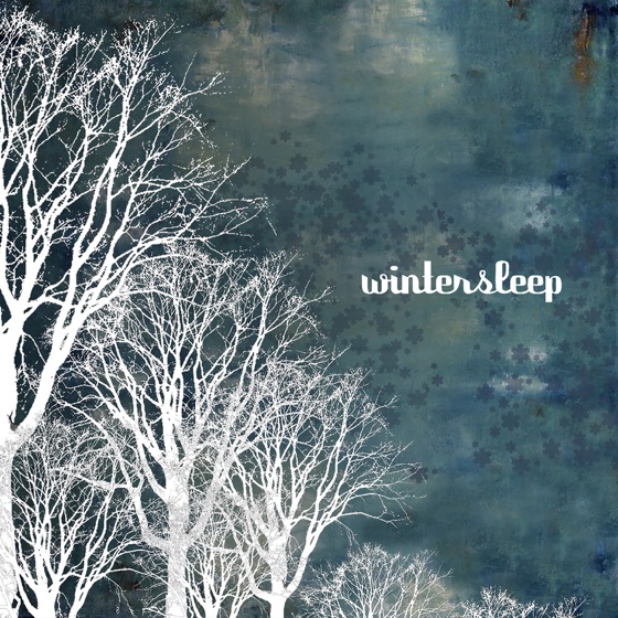 Cover artwork for Butterfly