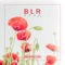 Böda (Club Mix) - Blr lyrics