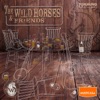 The Wild Horses & Friends (feat. Nat Simons, Paula Rojo, Javier Andreu, Dany Rock Daniels, Kacho Casal, Chisum Cattle, Oliver Green & Raul Marquez) - EP