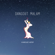 Dangdut Malam - Various Artists