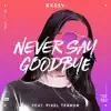 Never Say Goodbye (feat. Pixel Terror) - Single album lyrics, reviews, download