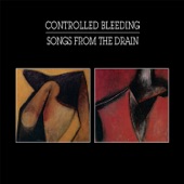 Controlled Bleeding - Music for Glass Stones
