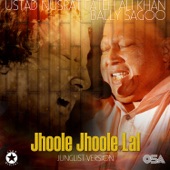 Jhoole Jhoole Lal (Junglist Version) artwork