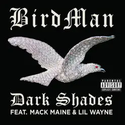 Dark Shades (feat. Lil Wayne & Mack Maine) - Single - Birdman