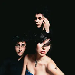 Maps (Live at the Fillmore) - Single - Yeah Yeah Yeahs