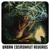 Urban Cosmonaut Reveries, 2017