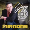 Joey y Miradas