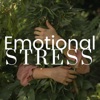 Emotional Stress: 2 Hours of Relaxing Music
