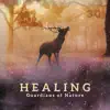 30 Healing Guardians of Nature: Emotional Relief Sanctuary, Influence of Silence, Dreams Protection, Calming Balance album lyrics, reviews, download