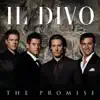 The Promise album lyrics, reviews, download