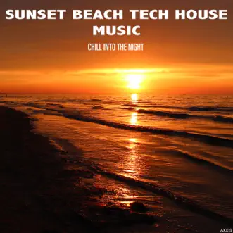 Sunset Beach Tech House Music: Chill into the Night by Various Artists album reviews, ratings, credits