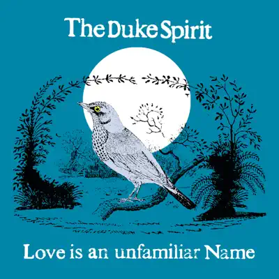 Love Is An Unfamiliar Name - Single - The Duke Spirit