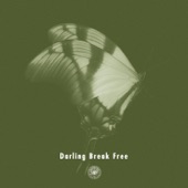 Darling Break Free (feat. Michael Kaneko) artwork