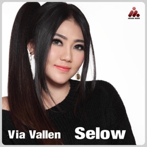 Via Vallen - Selow - Line Dance Music