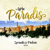 Speranta si Prietenii - Spre Paradis, Vol. 19 artwork