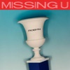 Robyn - Missing U