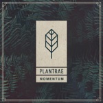 Momentum by Plantrae