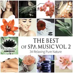 The Best of Spa Music Vol. 2: 34 Relaxing Pure Nature, Total Serenity, Wellness Center Treatment, Massage Therapy, Mindful Rest & Sleep by Tranquility Spa Universe album reviews, ratings, credits