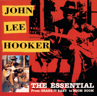 John Lee Hooker - The Essential: John Lee Hooker artwork