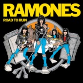 Ramones - Questioningly (Acoustic Version)