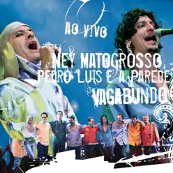Vagabundo (Ao Vivo) - Ney Matogrosso