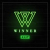 WINNER - SENTIMENTAL