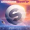 Destiny (feat. Mat B.) - Bassjackers lyrics