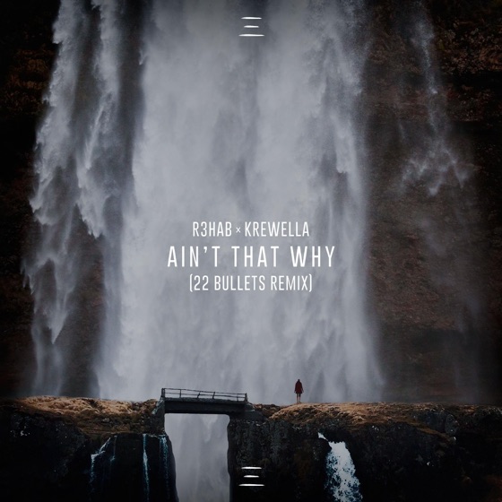 Cover artwork for Ain't That Why (22 Bullets Remix)