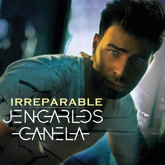 Cover artwork for Irreparable