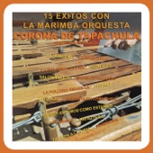 Marimba Orquesta Corona de Tapachula de Víctor Betanzos Castelllanos - Salón México