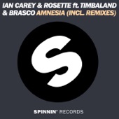 Amnesia (feat. Timbaland & Brasco) [Remixes] artwork
