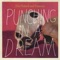 Punching In a Dream (Single Version) artwork