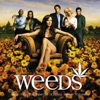 Weeds (Music from the Original TV Series), Vol. 2, 2006