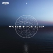 Worship For Sleep artwork