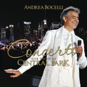 Concerto: One Night in Central Park artwork