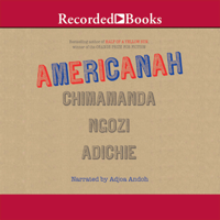 Chimamanda Ngozi Adichie - Americanah artwork