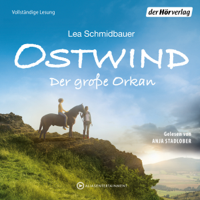 Lea Schmidbauer - Der große Orkan: Ostwind 6 artwork