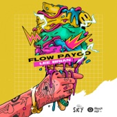 Flow Payco artwork