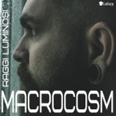 Macrocosm artwork