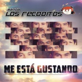 Me Está Gustando artwork