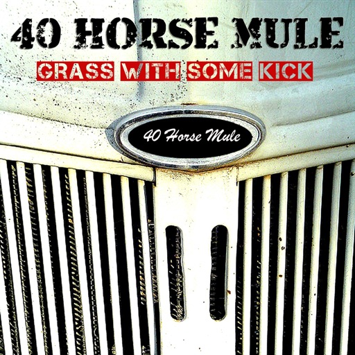 Art for Farm Country by 40 Horse Mule