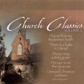 Church Classics, Vol. 2 artwork
