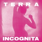 Terra Incognita artwork