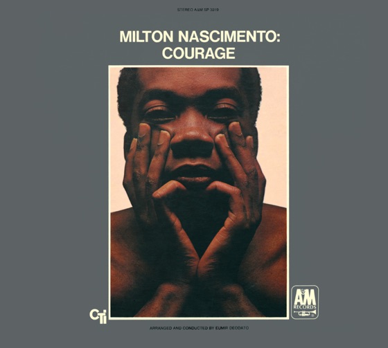 Cover artwork for Courage