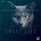 Sweet Lies (Extended Mix) - Max Freegrant & Slow Fish lyrics