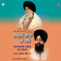 Bhai Balbir Singh - Gurmukh Laha Lei Gaye,Vol 3 artwork