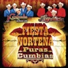 Fiesta Norteña - Puras Cumbias