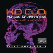 Pursuit of Happiness (feat. MGMT & Ratatat) [Extended Steve Aoki Remix] artwork